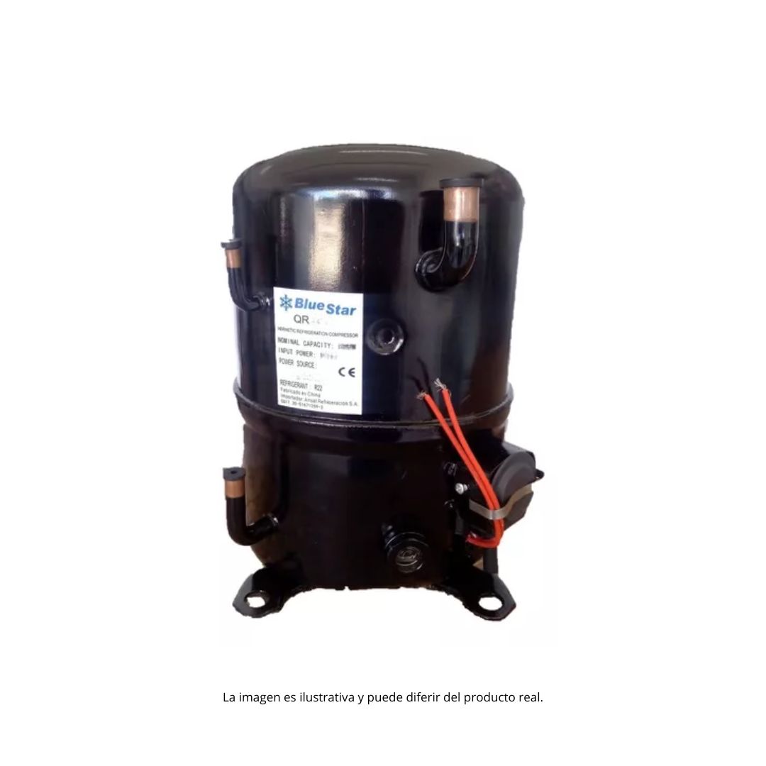 Motoc.BlueStar 2HP-M22-QR344-3600fr-trif